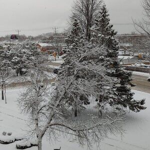 Meet your Posher, Raffaele